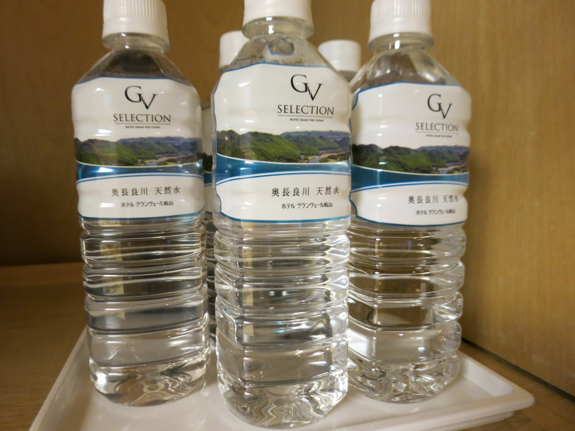 韦尔吉赞大酒店 岐阜 外观 照片